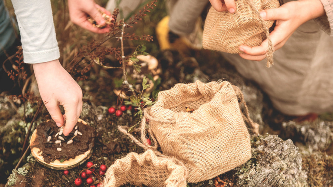 Welcome Spring! A Family Guide to Outdoor Exploration