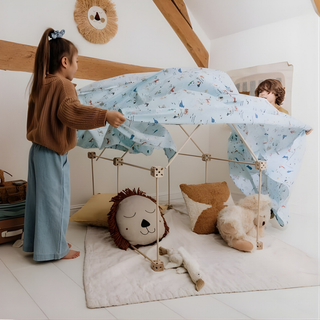 Complete den kit contents showing 43 beech wood clips, connector rods and Starry Night printed fabric panels, 1001 Cabanes Libellule all-in-one celestial fort building set