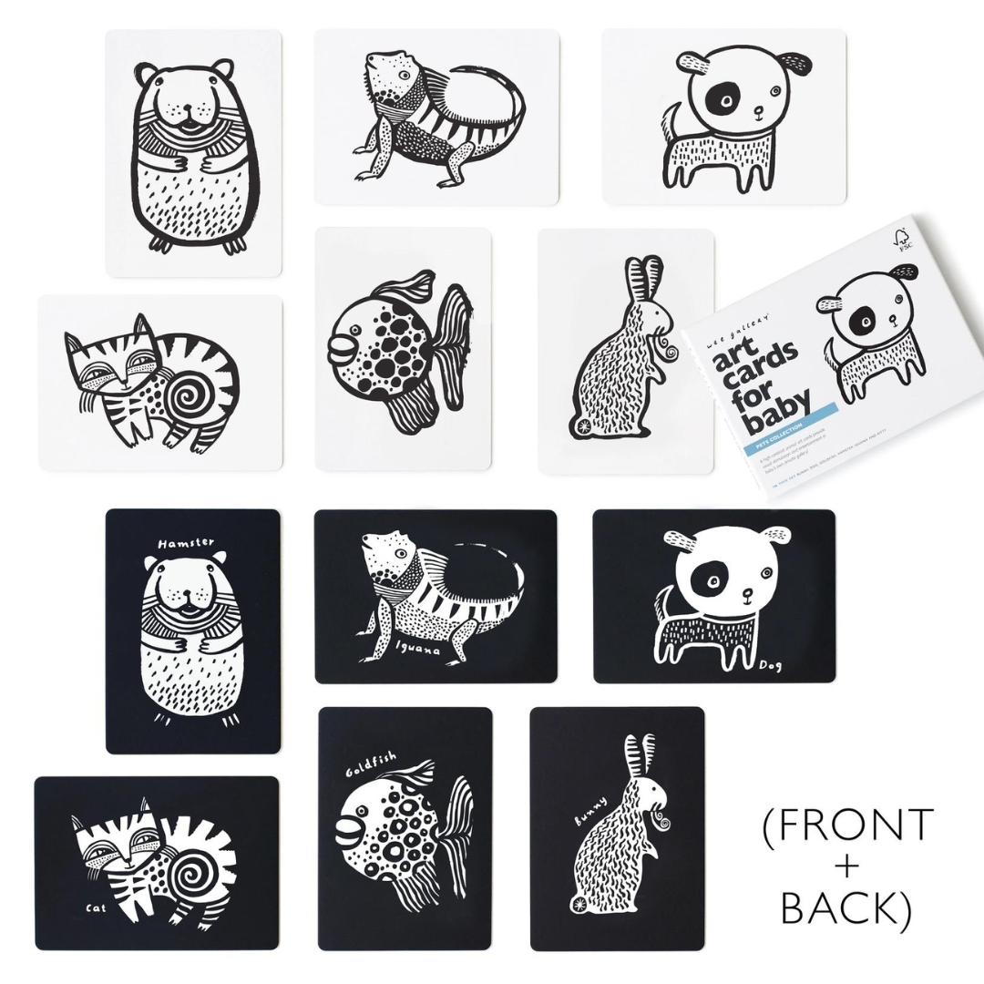 Pet Animals Black & White Baby Art Cards