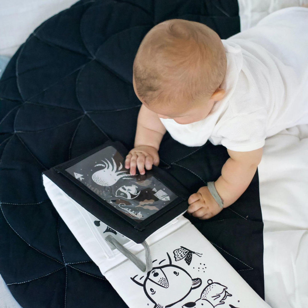 Reversible Tummy Time Gallery Space for Babies
