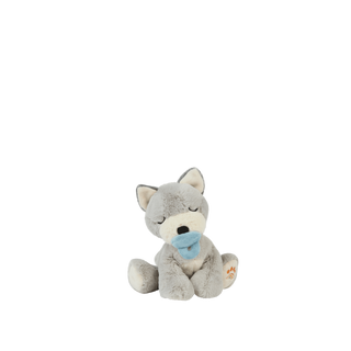 Binky Chiot - Banjo / Gris