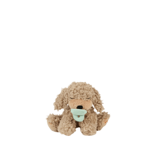 Binky Puppy - Benny / Or