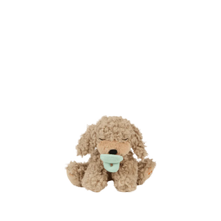 Binky Puppy Benny Gold
