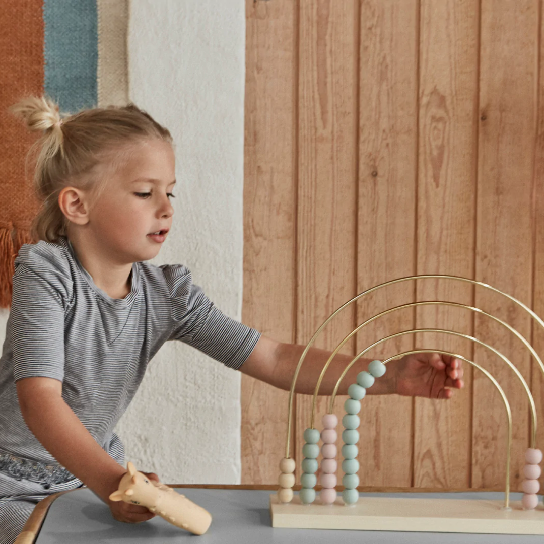 Abacus Rainbow Nature