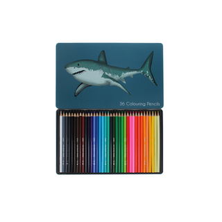 36 Colouring Pencils in a Tin Sharks