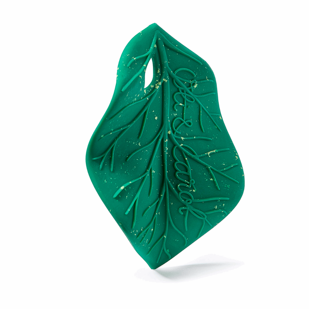 Chlorophyll Leaf Baby Teether