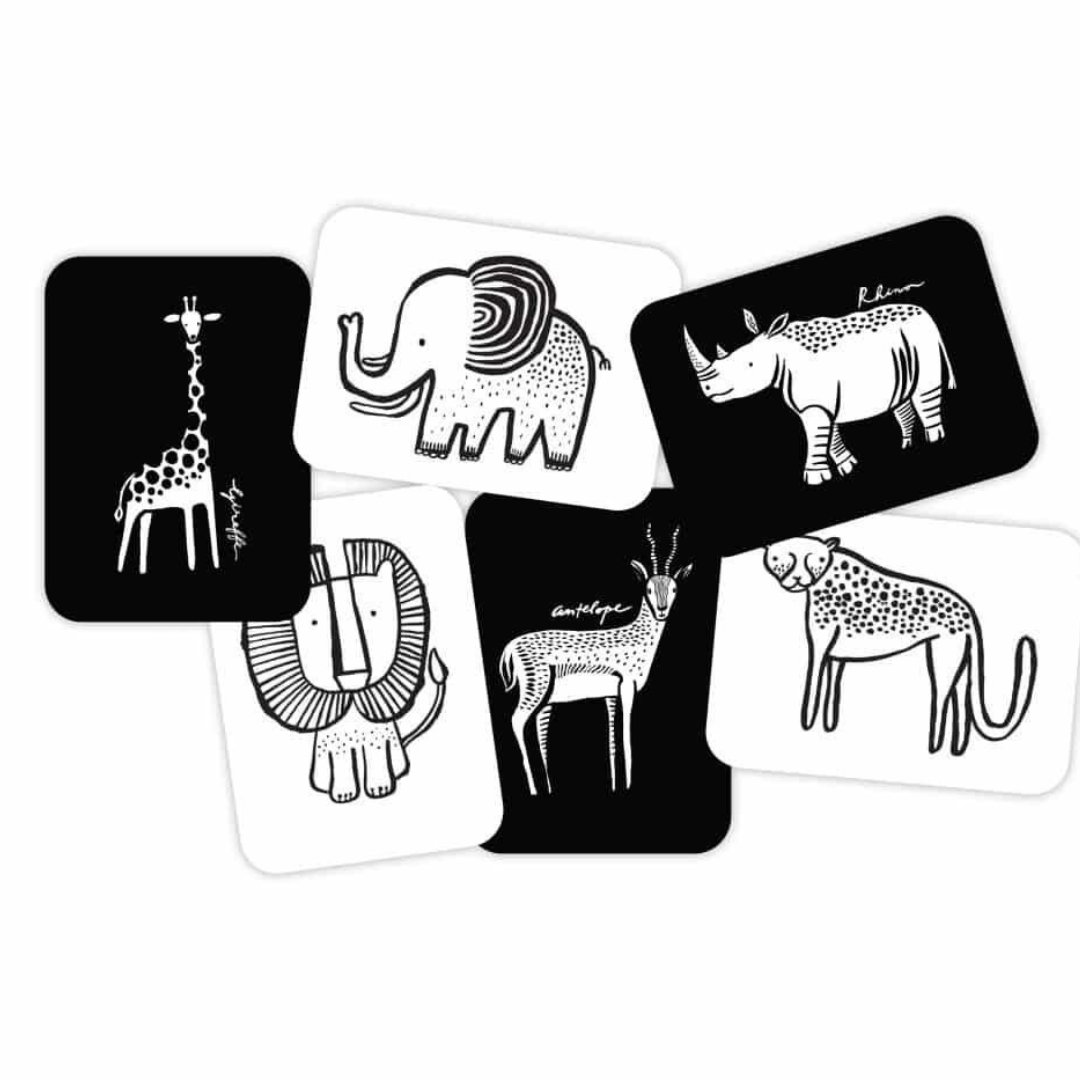 Safari Black & White Baby Art Cards