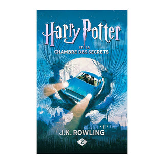 Screen-free audio card for kids with stories and sound effects, Yoto Harry Potter et la Chambre des Secrets for Yoto Player and Yoto Mini, quiet time and travel listening, ages 3 plus