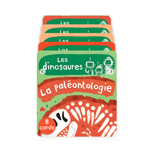 Les BrainBots Les dinosaures set of 8 educational French Yoto audio cards for children aged 5 to 8