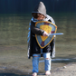 Crusader Knight Shield