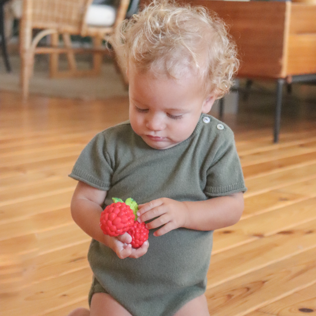 Valery the Raspberry