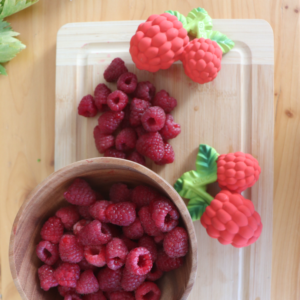Valery the Raspberry
