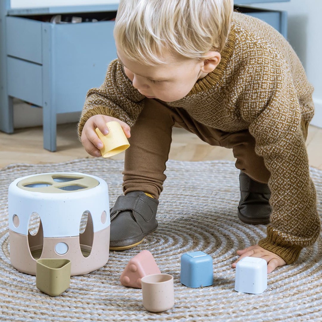 Tiny Bio Shape Sorter In Giftbox