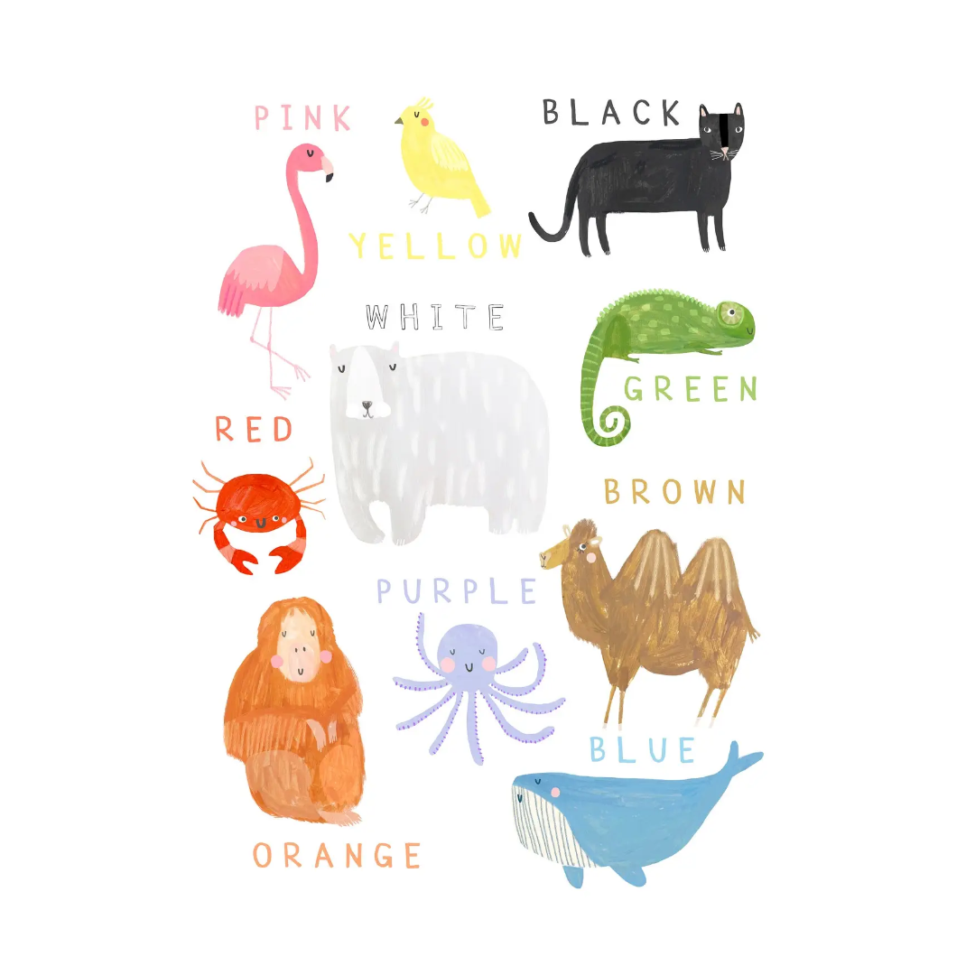 Animal Colours Print - A3