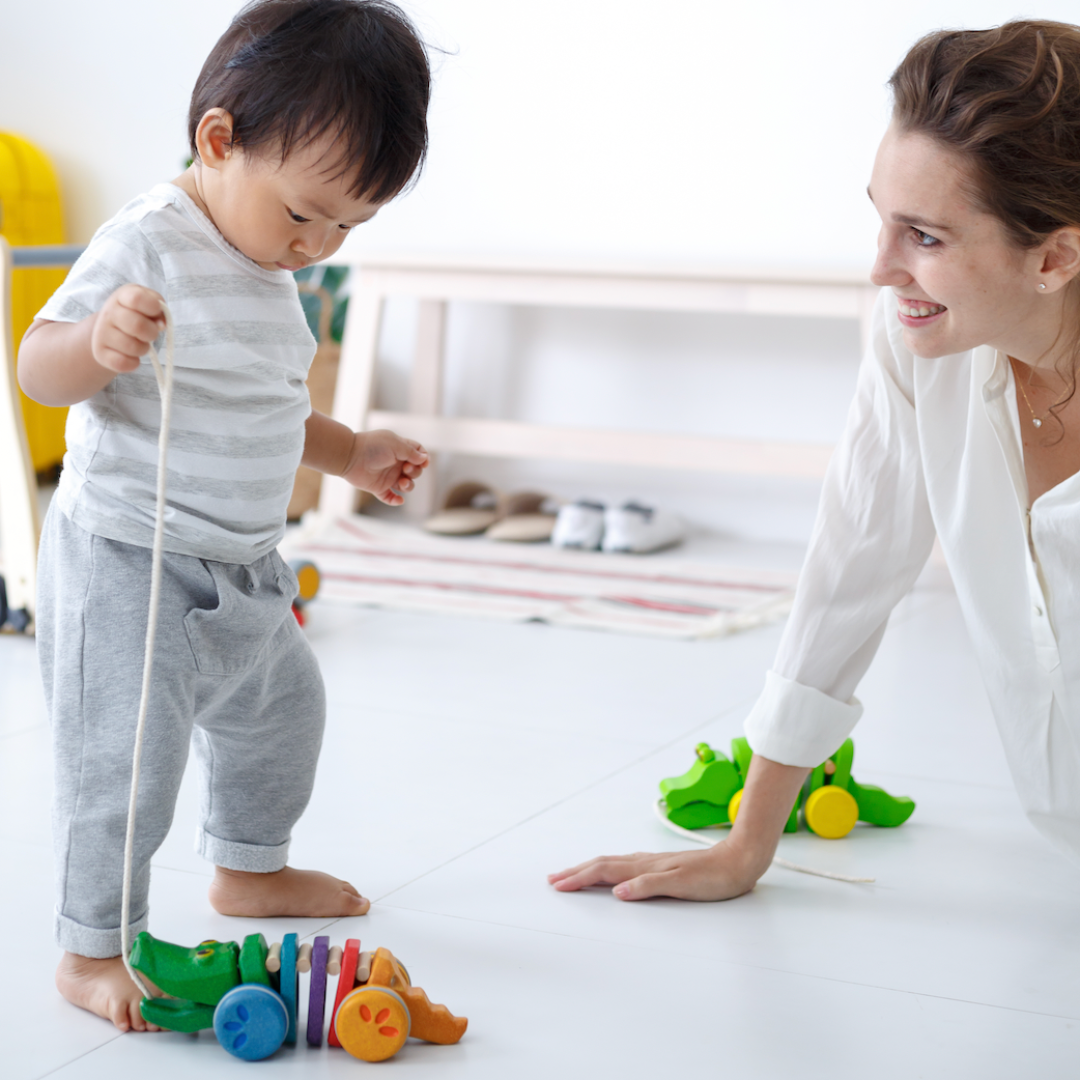 Pull Along Colourful Alligator for Kids