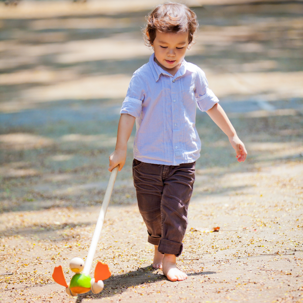 Plan toys push along duck shop