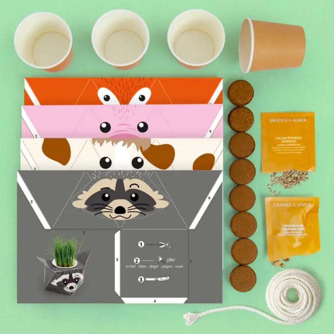 Animals Plants Activity Set
