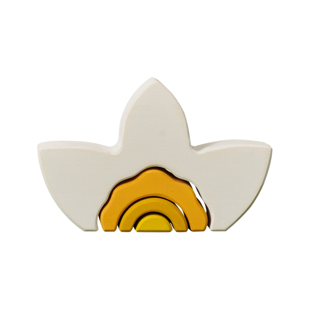 Narcissus Arcs