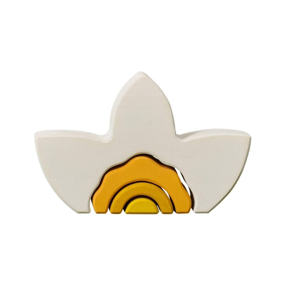 Narcissus Arcs
